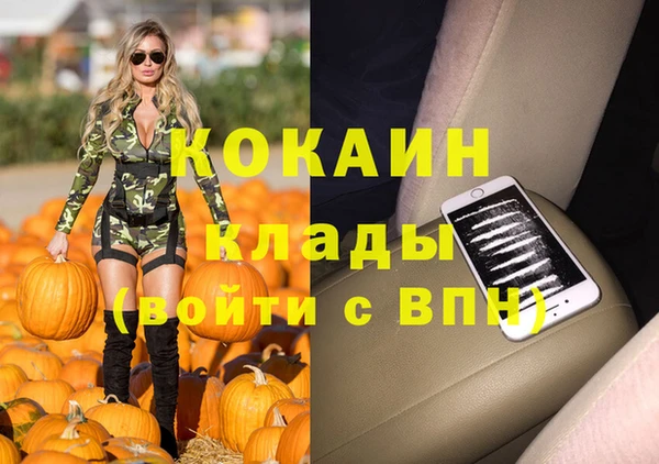индика Беломорск