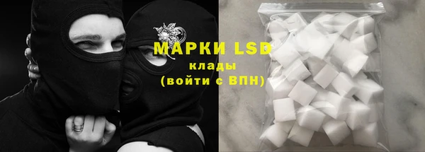 индика Беломорск