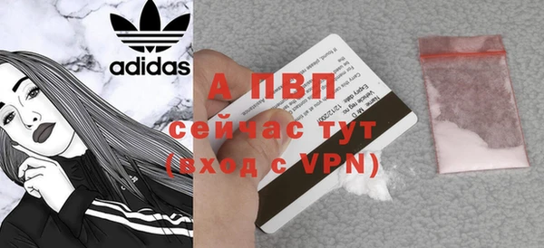 индика Беломорск