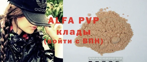 индика Беломорск