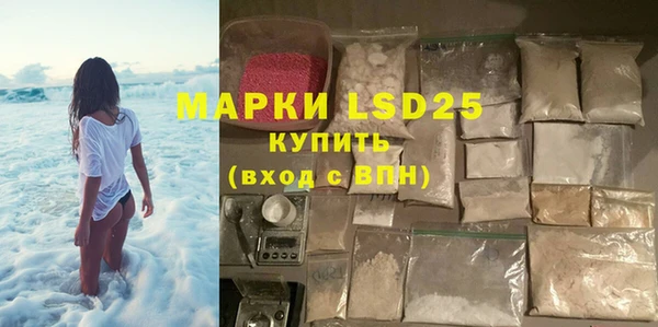 индика Беломорск