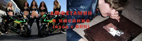 индика Беломорск