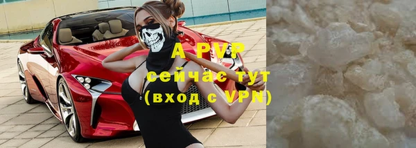 индика Беломорск