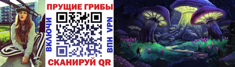 что такое наркотик  Калининец  Галлюциногенные грибы Magic Shrooms 